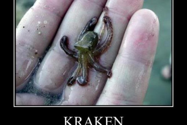 Площадка кракен kraken clear com